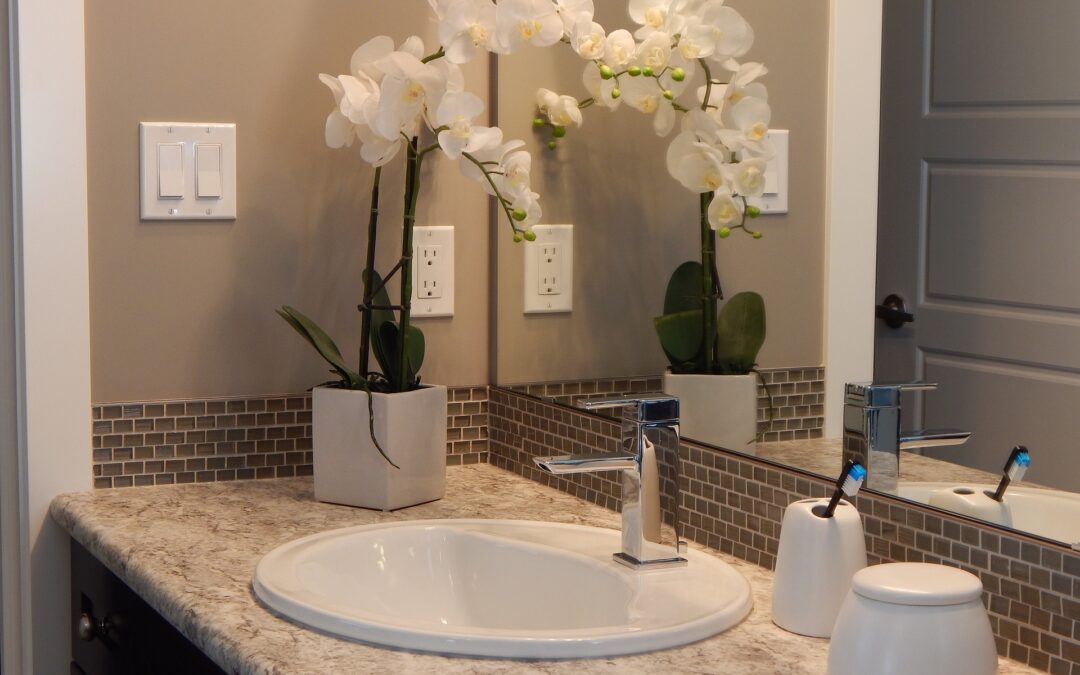 Clean Bathroom Tips for Sarasota Homeowners