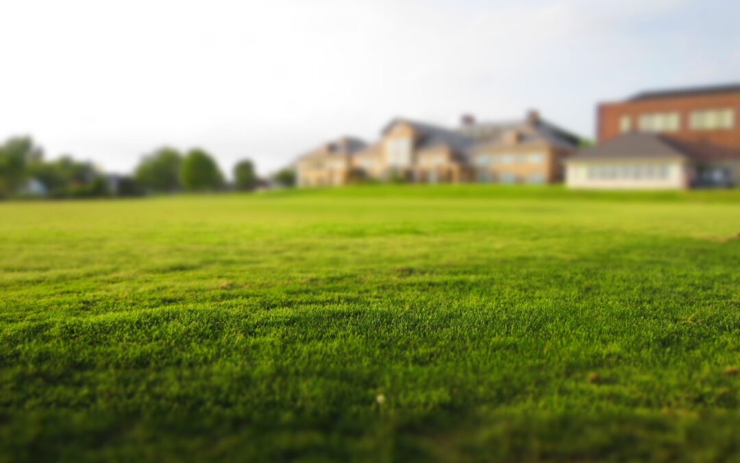 Finding a Vacant Lot for Your New Home